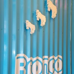 The Bronco logo and bukcing broncos on a blue steel wall