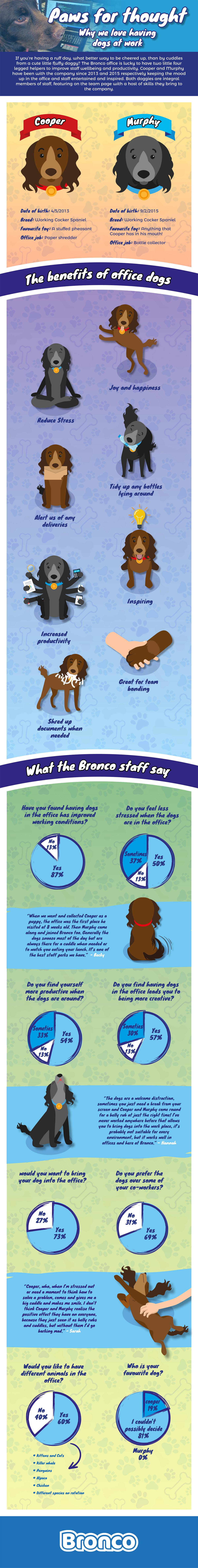 How office dogs benefit staff Bronco > Our Ideas